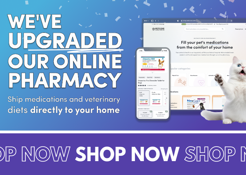 Carousel Slide 4: Check out our online pharmacy and store!